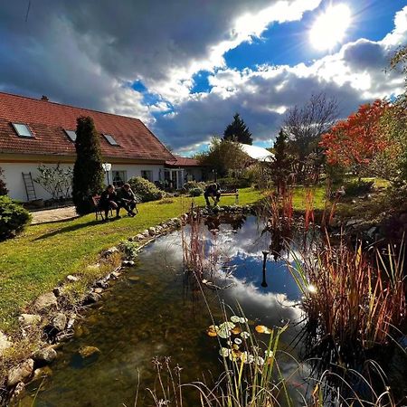 Pilisi Lovas Major, Dorog Bed & Breakfast Exterior foto