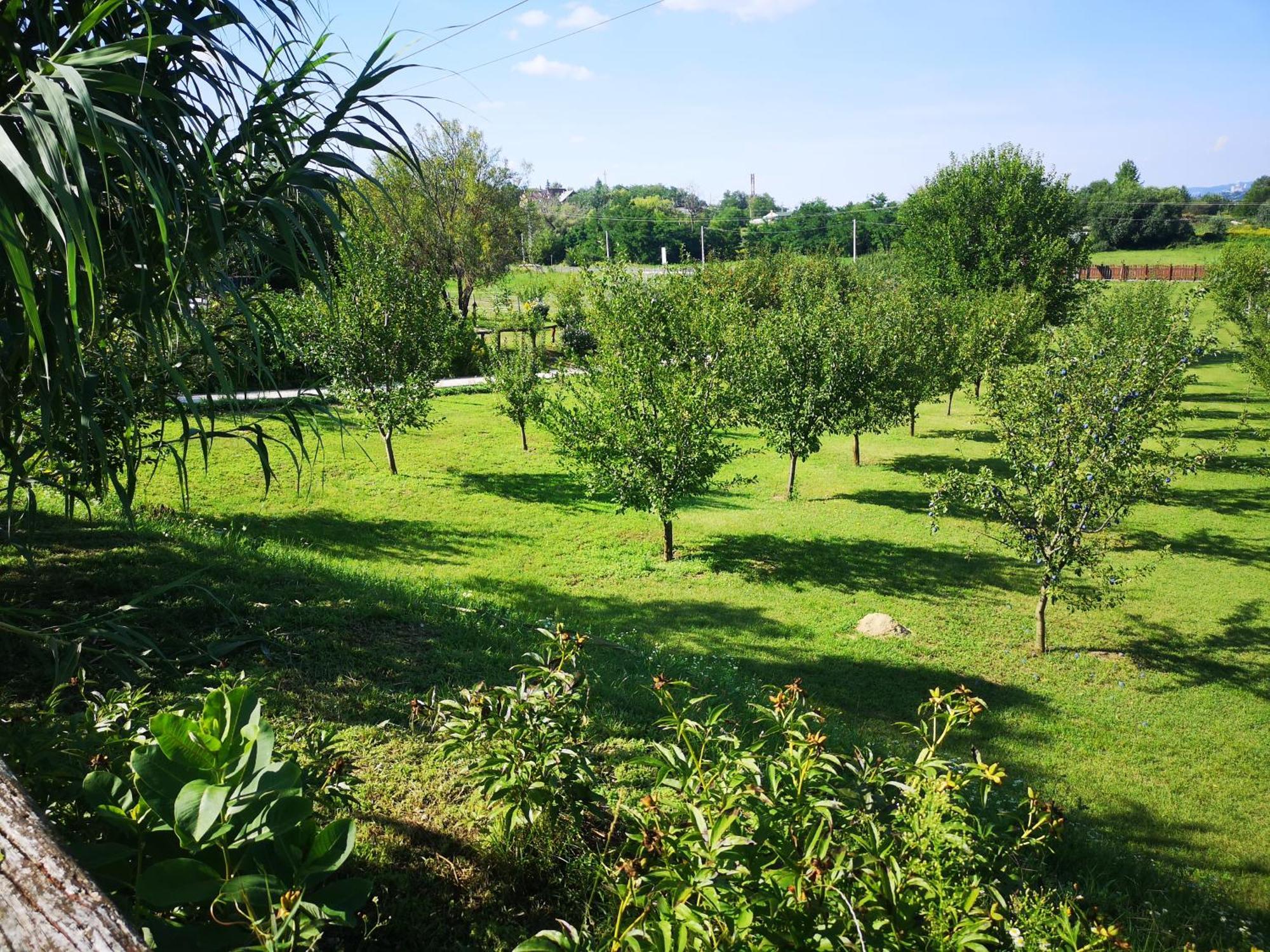 Pilisi Lovas Major, Dorog Bed & Breakfast Exterior foto